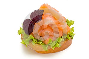 Bread with fresh salmon fillet isolated on white background, top view