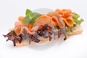 Bread with fresh salmon fillet isolated on white background, top view