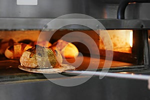 Bread freshly made. Out of a traditional brick oven. process of making bread