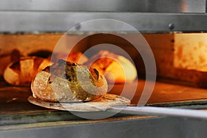 Bread freshly made. Out of a traditional brick oven. process of making bread