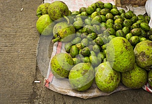 Bread fruit and ambarella on top of plastic sack sold in traditional market in Bogor Indonesia
