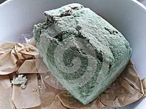 Bread gone mouldy, covered with green mold