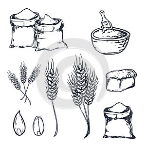 Bread hand drawn set with wheats. Vector illustration.