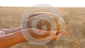 Bread in the hands of girls over the wheat field. tasty loaf of bread on the palms. fresh rye bread over Mature ears