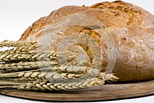 Bread Loaf with wheat on pan 3/4 shot