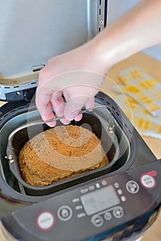 Bread machine and fresh bread at home