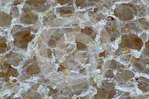 Bread Macro Closeup