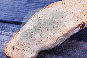 Bread with mold on the table