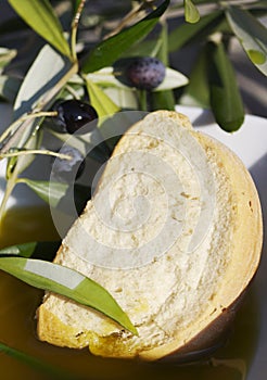 Bread, oil and olives photo