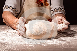 Bread in the old wrinkled hands of the grandmother close-up. Grandmas bread dough. Grandmother holding a piece of bread with wheat