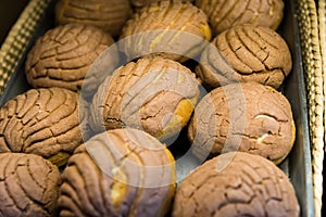 Bread - Pan de dulce Conchas