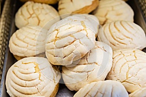 Bread - Pan de dulce Conchas