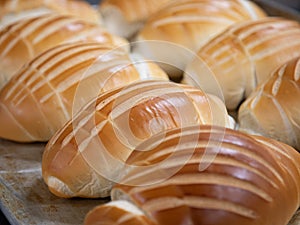 bread in production inside the bakery