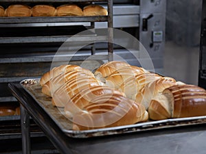 bread in production inside the bakery