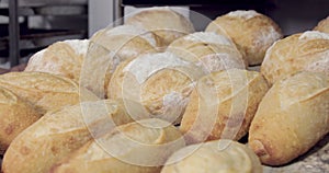 bread in production inside the bakery