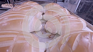 bread in production inside the bakery