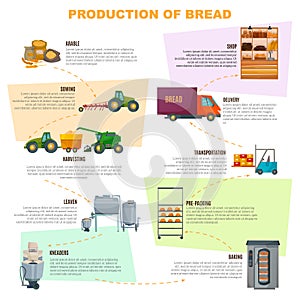 Bread Production Stages Infographics