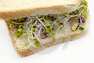 Bread with radish sprouts