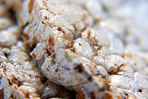 Bread rolls macro view