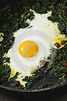 Fried egg and spinach