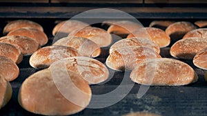 Bread`s conveyor under water sprayer after industrial bakery oven. 4K.