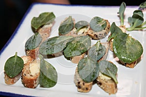 bread with salted butter and a leaf of mertensia to give a taste of oysters