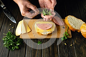 Bread sausage and cheese on a kitchen board for making sandwiches. The cook prepares a quick meal with sandwich and parsley