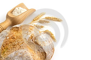 Pane mestolo da bianco farina un ciuffo da orecchie 