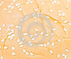 Bread and sesame, background