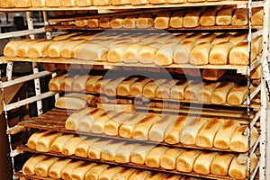 Bread on shelves