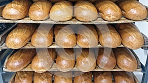 Bread shelves stand in bakery or supermarket