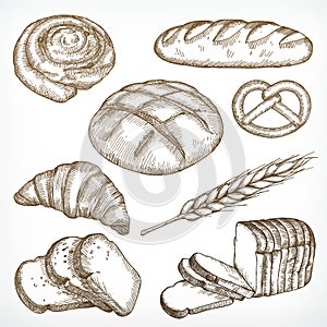 Bread sketches hand drawing