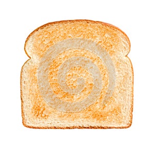 Bread Slice Lightly Toasted