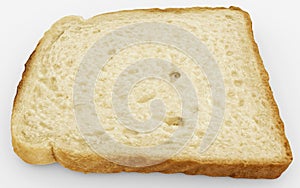 Bread slice - single toast close-up - on white
