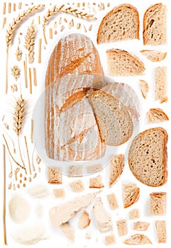 Bread Slice and Wheat Collection Abstract