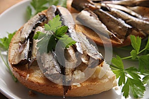 Bread and sprats. photo