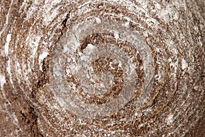 bread texture close up