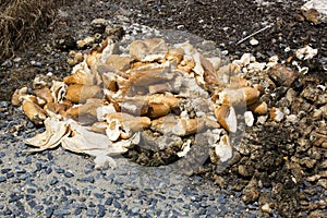 Bread thrown in the trash