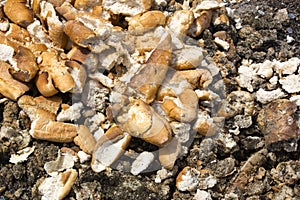 Bread thrown in the trash