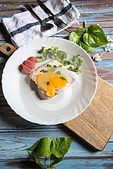 Bread toast and egg poach with ingredients on a white plate photo