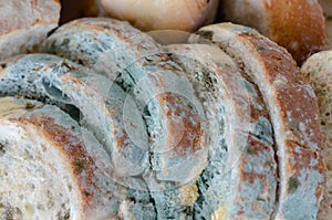 Bread wastage and Moldy bread slices