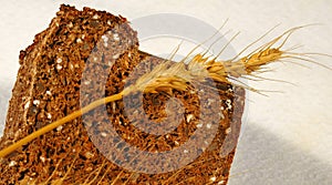 Bread and wheat