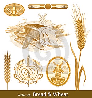 Bread and wheat.