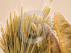 Bread and wheat