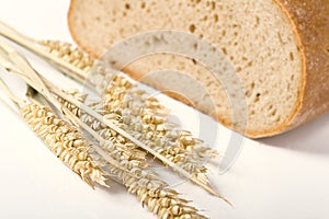 Bread and wheat