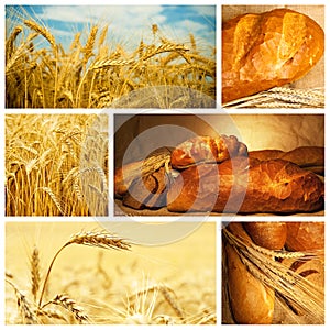 Bread and wheat collage