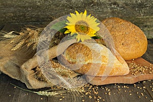 Bread, wheat, ears of corn and flower sunflower on a wooden back