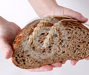 Bread, wheat-ears and hands