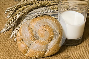 Pane grano un 