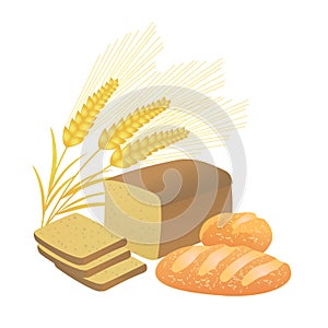 Bread and wheat spikelets, illustration